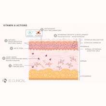 Load image into Gallery viewer, IS Clinical Retinol+ Emulsion 1.0 30ml
