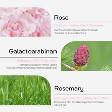 Load image into Gallery viewer, ThermoCeutical EXO Regentron Toner 100ml