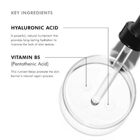 Load image into Gallery viewer, SkinCeuticals Hydrating B5 30ml
