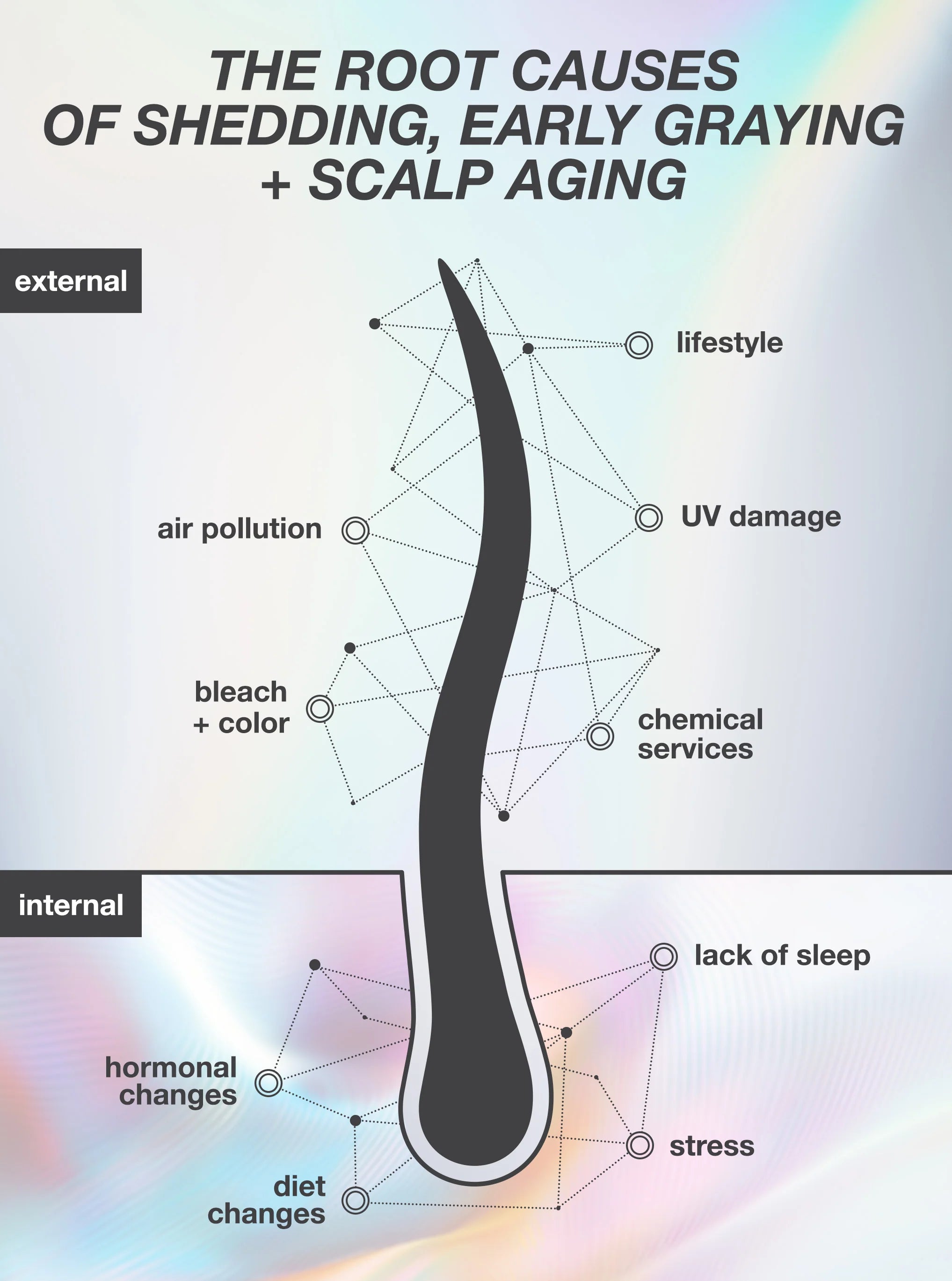 Load image into Gallery viewer, An informational graphic about scalp aging and hair shedding, with a large black hair silhouette split into external and internal sections. Text labels include lifestyle, air pollution, UV damage, bleach + color, chemical services, lack of sleep, hormonal changes, diet changes, and stress.
