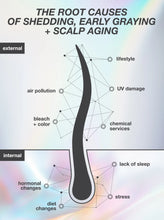Load image into Gallery viewer, An informational graphic about scalp aging and hair shedding, with a large black hair silhouette split into external and internal sections. Text labels include lifestyle, air pollution, UV damage, bleach + color, chemical services, lack of sleep, hormonal changes, diet changes, and stress.
