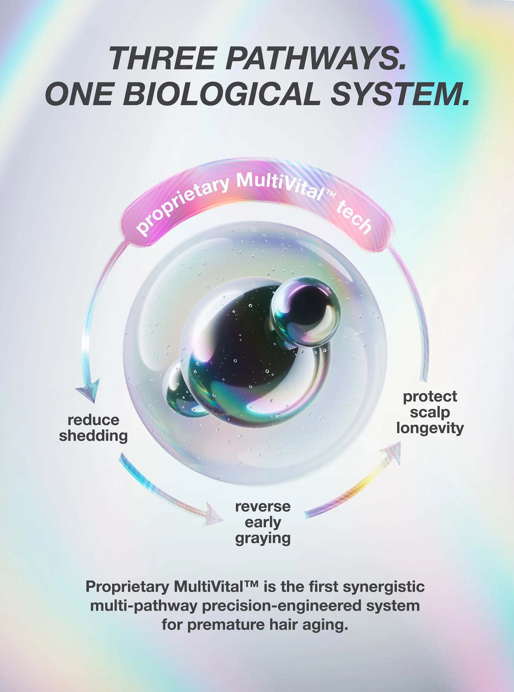 Load image into Gallery viewer, An informational graphic about scalp aging and hair shedding, with a large black hair silhouette split into external and internal sections. Text labels include lifestyle, air pollution, UV damage, bleach + color, chemical services, lack of sleep, hormonal changes, diet changes, and stress.
