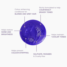 Load image into Gallery viewer, Kevin Murphy Blonde Angel Wash 250ml
