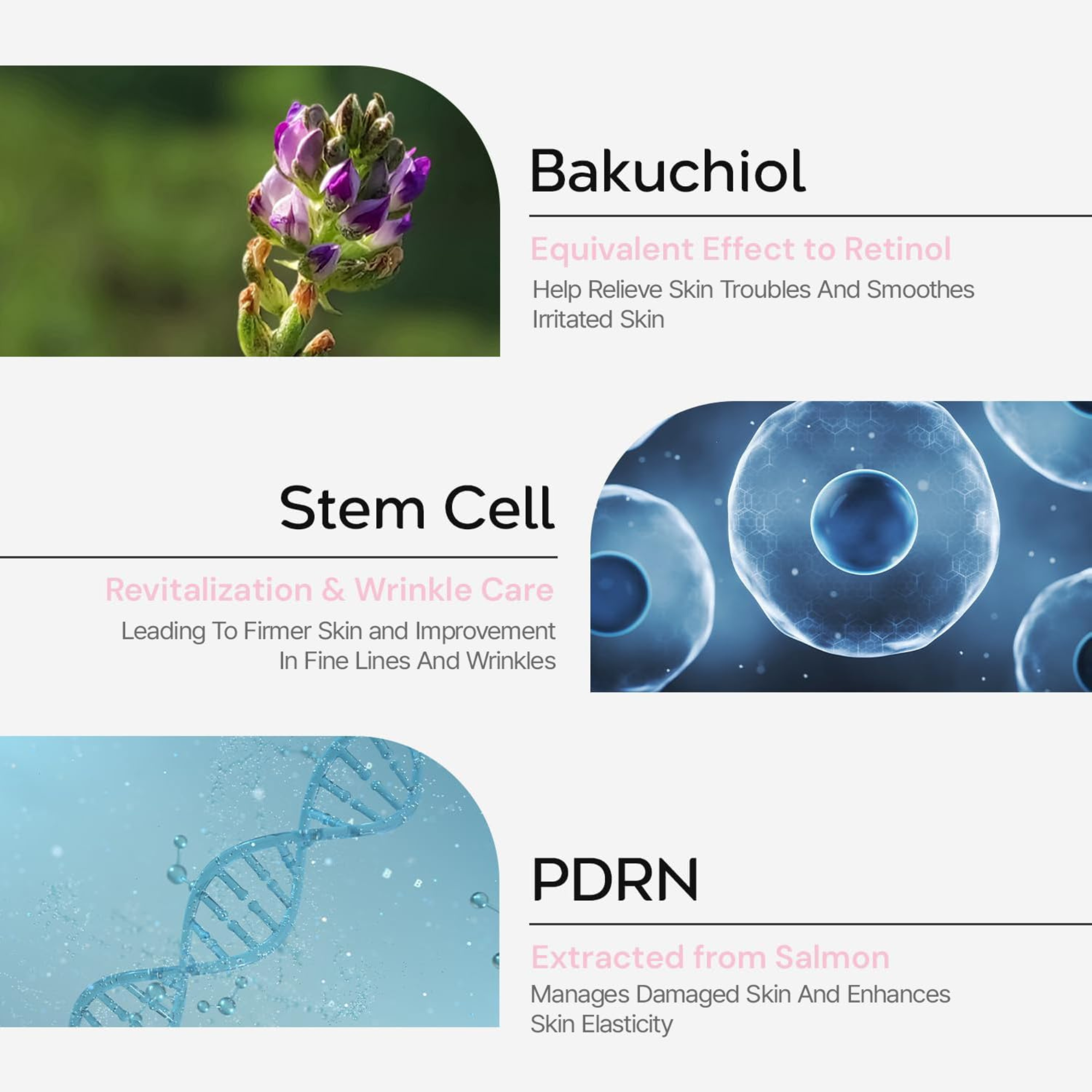 Load image into Gallery viewer, ThermoCeutical EXO Regentron Cream 50ml
