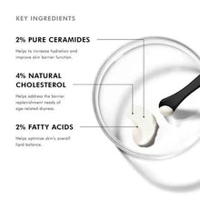 Load image into Gallery viewer, SkinCeuticals Triple Lipid Restore 242 Anti-Ageing Moisturiser 48ml
